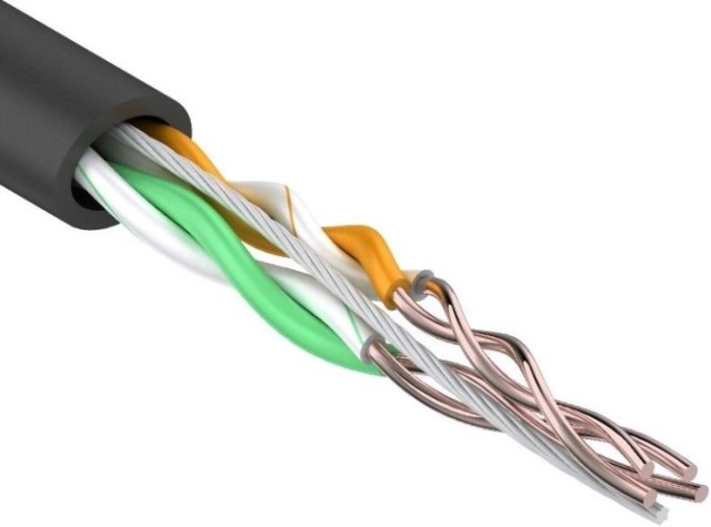 Кабель REXANT U/UTP, CAT 5e, PE 2х2х0,50мм, 24AWG внешний, черный [01-0025]