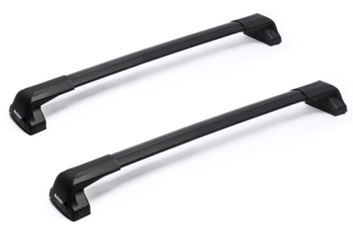 Комплект дуг для багажной системы ROLLSTER Mercury 20511 L=920/850 мм, черный 2шт [20511]